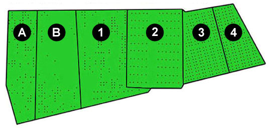 Map showing sections of cemetery